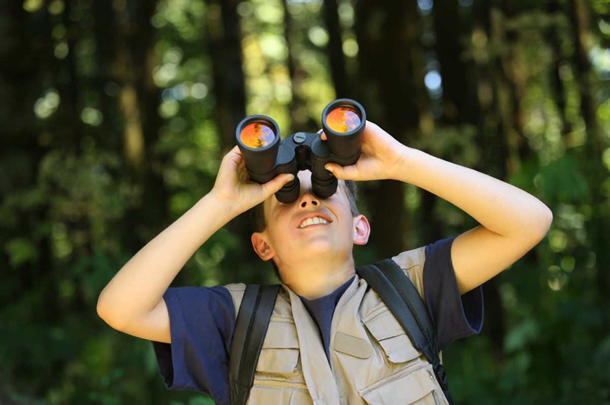 binoculars